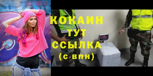 гашик Арсеньев