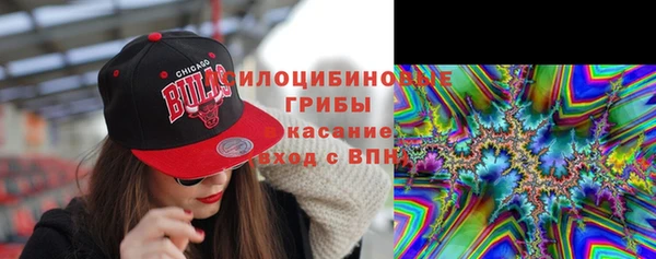 гашик Арсеньев