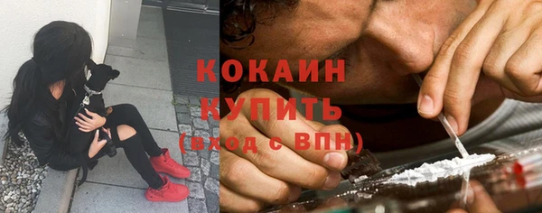 гашик Арсеньев