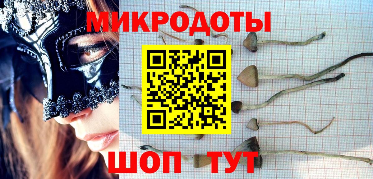 Галлюциногенные грибы мицелий Радужный