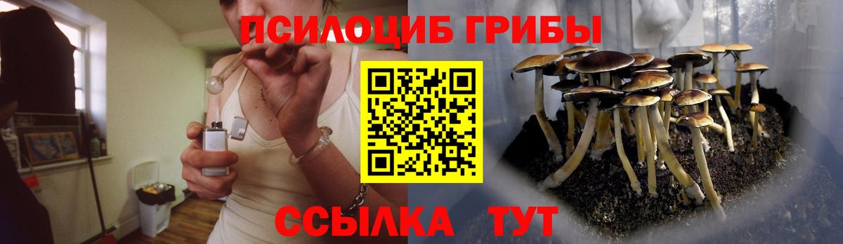 где купить наркоту  Вход с VPN  Радужный  Псилоцибиновые грибы Magic Shrooms  Псилоцибиновые грибы Magic Shrooms 